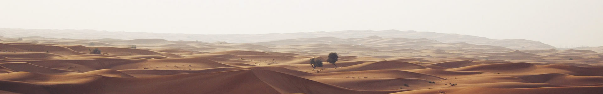 ýƼ޹˾